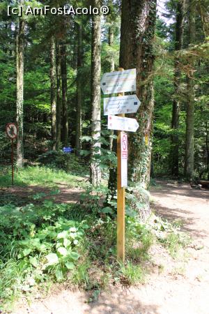 [P11] Parcul Național Cheile Nerei – Beușnița, Lacul Ochiul Beiului, Intersecția traseelor spre Cheile Nerei, Lacul Dracului și Cascadele Beușnița » foto by mprofeanu
 - 
<span class="allrVoted glyphicon glyphicon-heart hidden" id="av1189015"></span>
<a class="m-l-10 hidden" id="sv1189015" onclick="voting_Foto_DelVot(,1189015,3939)" role="button">șterge vot <span class="glyphicon glyphicon-remove"></span></a>
<a id="v91189015" class=" c-red"  onclick="voting_Foto_SetVot(1189015)" role="button"><span class="glyphicon glyphicon-heart-empty"></span> <b>LIKE</b> = Votează poza</a> <img class="hidden"  id="f1189015W9" src="/imagini/loader.gif" border="0" /><span class="AjErrMes hidden" id="e1189015ErM"></span>