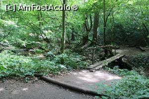 [P16] Parcul Național Cheile Nerei – Beușnița, Punte peste Râul Beușnița în apropierea Cascadei Beușnița 1, cea cunoscută mai mult de turiști... » foto by mprofeanu
 - 
<span class="allrVoted glyphicon glyphicon-heart hidden" id="av1189020"></span>
<a class="m-l-10 hidden" id="sv1189020" onclick="voting_Foto_DelVot(,1189020,3939)" role="button">șterge vot <span class="glyphicon glyphicon-remove"></span></a>
<a id="v91189020" class=" c-red"  onclick="voting_Foto_SetVot(1189020)" role="button"><span class="glyphicon glyphicon-heart-empty"></span> <b>LIKE</b> = Votează poza</a> <img class="hidden"  id="f1189020W9" src="/imagini/loader.gif" border="0" /><span class="AjErrMes hidden" id="e1189020ErM"></span>