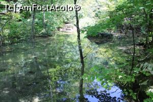 [P24] Parcul Național Cheile Nerei – Beușnița, Al doilea Iaz cristalin aproape de Cascada Beușnița 2, de fapt sunt unul lângă altul... » foto by mprofeanu
 - 
<span class="allrVoted glyphicon glyphicon-heart hidden" id="av1189028"></span>
<a class="m-l-10 hidden" id="sv1189028" onclick="voting_Foto_DelVot(,1189028,3939)" role="button">șterge vot <span class="glyphicon glyphicon-remove"></span></a>
<a id="v91189028" class=" c-red"  onclick="voting_Foto_SetVot(1189028)" role="button"><span class="glyphicon glyphicon-heart-empty"></span> <b>LIKE</b> = Votează poza</a> <img class="hidden"  id="f1189028W9" src="/imagini/loader.gif" border="0" /><span class="AjErrMes hidden" id="e1189028ErM"></span>