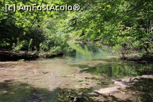[P27] Parcul Național Cheile Nerei – Beușnița, Apa Beușniței prin care am mers ca să pozez Ciuperca de la a doua cădere de apă a Cascadei Beușnița 2 » foto by mprofeanu
 - 
<span class="allrVoted glyphicon glyphicon-heart hidden" id="av1189031"></span>
<a class="m-l-10 hidden" id="sv1189031" onclick="voting_Foto_DelVot(,1189031,3939)" role="button">șterge vot <span class="glyphicon glyphicon-remove"></span></a>
<a id="v91189031" class=" c-red"  onclick="voting_Foto_SetVot(1189031)" role="button"><span class="glyphicon glyphicon-heart-empty"></span> <b>LIKE</b> = Votează poza</a> <img class="hidden"  id="f1189031W9" src="/imagini/loader.gif" border="0" /><span class="AjErrMes hidden" id="e1189031ErM"></span>