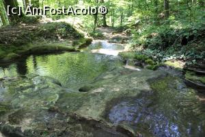 [P31] Parcul Național Cheile Nerei – Beușnița, Râul Beușnița, Bazine cu apă cristalină pe drumul nemarcat între Cascada Beușnița 1 și Cascada Beușnița 2... » foto by mprofeanu
 - 
<span class="allrVoted glyphicon glyphicon-heart hidden" id="av1189035"></span>
<a class="m-l-10 hidden" id="sv1189035" onclick="voting_Foto_DelVot(,1189035,3939)" role="button">șterge vot <span class="glyphicon glyphicon-remove"></span></a>
<a id="v91189035" class=" c-red"  onclick="voting_Foto_SetVot(1189035)" role="button"><span class="glyphicon glyphicon-heart-empty"></span> <b>LIKE</b> = Votează poza</a> <img class="hidden"  id="f1189035W9" src="/imagini/loader.gif" border="0" /><span class="AjErrMes hidden" id="e1189035ErM"></span>