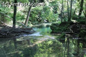 [P37] Parcul Național Cheile Nerei – Beușnița, Râul Beușnița la Cascada Văioaga, mici ochiuri de apă, ce culoare!!... » foto by mprofeanu
 - 
<span class="allrVoted glyphicon glyphicon-heart hidden" id="av1189041"></span>
<a class="m-l-10 hidden" id="sv1189041" onclick="voting_Foto_DelVot(,1189041,3939)" role="button">șterge vot <span class="glyphicon glyphicon-remove"></span></a>
<a id="v91189041" class=" c-red"  onclick="voting_Foto_SetVot(1189041)" role="button"><span class="glyphicon glyphicon-heart-empty"></span> <b>LIKE</b> = Votează poza</a> <img class="hidden"  id="f1189041W9" src="/imagini/loader.gif" border="0" /><span class="AjErrMes hidden" id="e1189041ErM"></span>