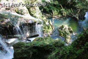 [P43] Parcul Național Cheile Nerei – Beușnița, Cascada Văioaga, mi-a plăcut... » foto by mprofeanu
 - 
<span class="allrVoted glyphicon glyphicon-heart hidden" id="av1189047"></span>
<a class="m-l-10 hidden" id="sv1189047" onclick="voting_Foto_DelVot(,1189047,3939)" role="button">șterge vot <span class="glyphicon glyphicon-remove"></span></a>
<a id="v91189047" class=" c-red"  onclick="voting_Foto_SetVot(1189047)" role="button"><span class="glyphicon glyphicon-heart-empty"></span> <b>LIKE</b> = Votează poza</a> <img class="hidden"  id="f1189047W9" src="/imagini/loader.gif" border="0" /><span class="AjErrMes hidden" id="e1189047ErM"></span>