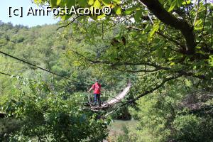 [P05] Parcul Național Cheile Nerei – Beușnița, Sasca Română, Pe Puntea Suspendată de pe Traseul spre Tunele » foto by mprofeanu
 - 
<span class="allrVoted glyphicon glyphicon-heart hidden" id="av1189490"></span>
<a class="m-l-10 hidden" id="sv1189490" onclick="voting_Foto_DelVot(,1189490,3939)" role="button">șterge vot <span class="glyphicon glyphicon-remove"></span></a>
<a id="v91189490" class=" c-red"  onclick="voting_Foto_SetVot(1189490)" role="button"><span class="glyphicon glyphicon-heart-empty"></span> <b>LIKE</b> = Votează poza</a> <img class="hidden"  id="f1189490W9" src="/imagini/loader.gif" border="0" /><span class="AjErrMes hidden" id="e1189490ErM"></span>
