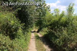 [P08] Parcul Național Cheile Nerei – Beușnița, Poteca spre Tunele este și mai lată.... » foto by mprofeanu
 - 
<span class="allrVoted glyphicon glyphicon-heart hidden" id="av1189493"></span>
<a class="m-l-10 hidden" id="sv1189493" onclick="voting_Foto_DelVot(,1189493,3939)" role="button">șterge vot <span class="glyphicon glyphicon-remove"></span></a>
<a id="v91189493" class=" c-red"  onclick="voting_Foto_SetVot(1189493)" role="button"><span class="glyphicon glyphicon-heart-empty"></span> <b>LIKE</b> = Votează poza</a> <img class="hidden"  id="f1189493W9" src="/imagini/loader.gif" border="0" /><span class="AjErrMes hidden" id="e1189493ErM"></span>