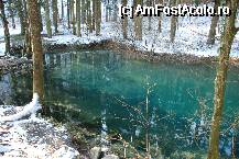 [P14] lacul Ochiul Bei, 4 m adancime desi ai impresia ca nu are mai mult de 50 cm. » foto by mariana
 - 
<span class="allrVoted glyphicon glyphicon-heart hidden" id="av54439"></span>
<a class="m-l-10 hidden" id="sv54439" onclick="voting_Foto_DelVot(,54439,3939)" role="button">șterge vot <span class="glyphicon glyphicon-remove"></span></a>
<a id="v954439" class=" c-red"  onclick="voting_Foto_SetVot(54439)" role="button"><span class="glyphicon glyphicon-heart-empty"></span> <b>LIKE</b> = Votează poza</a> <img class="hidden"  id="f54439W9" src="/imagini/loader.gif" border="0" /><span class="AjErrMes hidden" id="e54439ErM"></span>