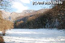 [P18] poiana beusnitei, in drum spre cascada beusnita » foto by mariana
 - 
<span class="allrVoted glyphicon glyphicon-heart hidden" id="av54443"></span>
<a class="m-l-10 hidden" id="sv54443" onclick="voting_Foto_DelVot(,54443,3939)" role="button">șterge vot <span class="glyphicon glyphicon-remove"></span></a>
<a id="v954443" class=" c-red"  onclick="voting_Foto_SetVot(54443)" role="button"><span class="glyphicon glyphicon-heart-empty"></span> <b>LIKE</b> = Votează poza</a> <img class="hidden"  id="f54443W9" src="/imagini/loader.gif" border="0" /><span class="AjErrMes hidden" id="e54443ErM"></span>