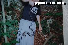 [P28] in cheile nerei ,2009 dar sa nu ma intrebati daca este vipera pentru ca in momentul intalnirii 1 km distanta   intre mine si sarpe mi s-a parut putin » foto by mariana
 - 
<span class="allrVoted glyphicon glyphicon-heart hidden" id="av54582"></span>
<a class="m-l-10 hidden" id="sv54582" onclick="voting_Foto_DelVot(,54582,3939)" role="button">șterge vot <span class="glyphicon glyphicon-remove"></span></a>
<a id="v954582" class=" c-red"  onclick="voting_Foto_SetVot(54582)" role="button"><span class="glyphicon glyphicon-heart-empty"></span> <b>LIKE</b> = Votează poza</a> <img class="hidden"  id="f54582W9" src="/imagini/loader.gif" border="0" /><span class="AjErrMes hidden" id="e54582ErM"></span>