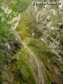 [P14] Cascada Şuşara » foto by vlado2
 - 
<span class="allrVoted glyphicon glyphicon-heart hidden" id="av477334"></span>
<a class="m-l-10 hidden" id="sv477334" onclick="voting_Foto_DelVot(,477334,3939)" role="button">șterge vot <span class="glyphicon glyphicon-remove"></span></a>
<a id="v9477334" class=" c-red"  onclick="voting_Foto_SetVot(477334)" role="button"><span class="glyphicon glyphicon-heart-empty"></span> <b>LIKE</b> = Votează poza</a> <img class="hidden"  id="f477334W9" src="/imagini/loader.gif" border="0" /><span class="AjErrMes hidden" id="e477334ErM"></span>