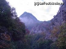 [P06] Cheile Minisului » foto by vlado2
 - 
<span class="allrVoted glyphicon glyphicon-heart hidden" id="av477326"></span>
<a class="m-l-10 hidden" id="sv477326" onclick="voting_Foto_DelVot(,477326,3939)" role="button">șterge vot <span class="glyphicon glyphicon-remove"></span></a>
<a id="v9477326" class=" c-red"  onclick="voting_Foto_SetVot(477326)" role="button"><span class="glyphicon glyphicon-heart-empty"></span> <b>LIKE</b> = Votează poza</a> <img class="hidden"  id="f477326W9" src="/imagini/loader.gif" border="0" /><span class="AjErrMes hidden" id="e477326ErM"></span>