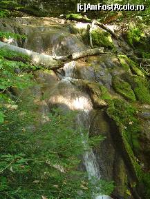 [P09] Spre Cascada Beusnita » foto by vlado2
 - 
<span class="allrVoted glyphicon glyphicon-heart hidden" id="av477329"></span>
<a class="m-l-10 hidden" id="sv477329" onclick="voting_Foto_DelVot(,477329,3939)" role="button">șterge vot <span class="glyphicon glyphicon-remove"></span></a>
<a id="v9477329" class=" c-red"  onclick="voting_Foto_SetVot(477329)" role="button"><span class="glyphicon glyphicon-heart-empty"></span> <b>LIKE</b> = Votează poza</a> <img class="hidden"  id="f477329W9" src="/imagini/loader.gif" border="0" /><span class="AjErrMes hidden" id="e477329ErM"></span>