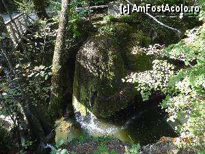 [P17] Valea Minisului - Cascada Bigar » foto by TaniaT
 - 
<span class="allrVoted glyphicon glyphicon-heart hidden" id="av377143"></span>
<a class="m-l-10 hidden" id="sv377143" onclick="voting_Foto_DelVot(,377143,3939)" role="button">șterge vot <span class="glyphicon glyphicon-remove"></span></a>
<a id="v9377143" class=" c-red"  onclick="voting_Foto_SetVot(377143)" role="button"><span class="glyphicon glyphicon-heart-empty"></span> <b>LIKE</b> = Votează poza</a> <img class="hidden"  id="f377143W9" src="/imagini/loader.gif" border="0" /><span class="AjErrMes hidden" id="e377143ErM"></span>