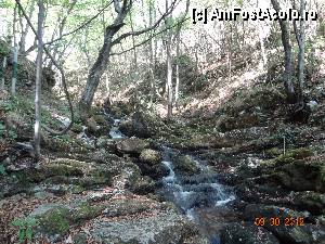 [P21] Parcul National Cheile Nerei-Beusita - spre Izbucul Bigar » foto by TaniaT
 - 
<span class="allrVoted glyphicon glyphicon-heart hidden" id="av377147"></span>
<a class="m-l-10 hidden" id="sv377147" onclick="voting_Foto_DelVot(,377147,3939)" role="button">șterge vot <span class="glyphicon glyphicon-remove"></span></a>
<a id="v9377147" class=" c-red"  onclick="voting_Foto_SetVot(377147)" role="button"><span class="glyphicon glyphicon-heart-empty"></span> <b>LIKE</b> = Votează poza</a> <img class="hidden"  id="f377147W9" src="/imagini/loader.gif" border="0" /><span class="AjErrMes hidden" id="e377147ErM"></span>