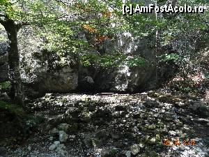 [P22] Parcul National Cheile Nerei-Beusita - Izbucul Bigar » foto by TaniaT
 - 
<span class="allrVoted glyphicon glyphicon-heart hidden" id="av377148"></span>
<a class="m-l-10 hidden" id="sv377148" onclick="voting_Foto_DelVot(,377148,3939)" role="button">șterge vot <span class="glyphicon glyphicon-remove"></span></a>
<a id="v9377148" class=" c-red"  onclick="voting_Foto_SetVot(377148)" role="button"><span class="glyphicon glyphicon-heart-empty"></span> <b>LIKE</b> = Votează poza</a> <img class="hidden"  id="f377148W9" src="/imagini/loader.gif" border="0" /><span class="AjErrMes hidden" id="e377148ErM"></span>