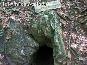 [P54] Intrare într-o fostă mină romană pe Valea Șușarei. » foto by Aurici
 - 
<span class="allrVoted glyphicon glyphicon-heart hidden" id="av1186727"></span>
<a class="m-l-10 hidden" id="sv1186727" onclick="voting_Foto_DelVot(,1186727,3939)" role="button">șterge vot <span class="glyphicon glyphicon-remove"></span></a>
<a id="v91186727" class=" c-red"  onclick="voting_Foto_SetVot(1186727)" role="button"><span class="glyphicon glyphicon-heart-empty"></span> <b>LIKE</b> = Votează poza</a> <img class="hidden"  id="f1186727W9" src="/imagini/loader.gif" border="0" /><span class="AjErrMes hidden" id="e1186727ErM"></span>