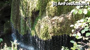 [P02] Cascada Bigar » foto by severm
 - 
<span class="allrVoted glyphicon glyphicon-heart hidden" id="av456274"></span>
<a class="m-l-10 hidden" id="sv456274" onclick="voting_Foto_DelVot(,456274,3939)" role="button">șterge vot <span class="glyphicon glyphicon-remove"></span></a>
<a id="v9456274" class=" c-red"  onclick="voting_Foto_SetVot(456274)" role="button"><span class="glyphicon glyphicon-heart-empty"></span> <b>LIKE</b> = Votează poza</a> <img class="hidden"  id="f456274W9" src="/imagini/loader.gif" border="0" /><span class="AjErrMes hidden" id="e456274ErM"></span>