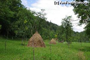 [P13] printre fanete spre Casa Verde » foto by osna
 - 
<span class="allrVoted glyphicon glyphicon-heart hidden" id="av562871"></span>
<a class="m-l-10 hidden" id="sv562871" onclick="voting_Foto_DelVot(,562871,3939)" role="button">șterge vot <span class="glyphicon glyphicon-remove"></span></a>
<a id="v9562871" class=" c-red"  onclick="voting_Foto_SetVot(562871)" role="button"><span class="glyphicon glyphicon-heart-empty"></span> <b>LIKE</b> = Votează poza</a> <img class="hidden"  id="f562871W9" src="/imagini/loader.gif" border="0" /><span class="AjErrMes hidden" id="e562871ErM"></span>