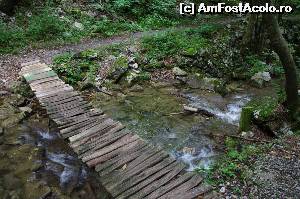 [P05] podet de lemn, in drum spre cascada » foto by osna
 - 
<span class="allrVoted glyphicon glyphicon-heart hidden" id="av562863"></span>
<a class="m-l-10 hidden" id="sv562863" onclick="voting_Foto_DelVot(,562863,3939)" role="button">șterge vot <span class="glyphicon glyphicon-remove"></span></a>
<a id="v9562863" class=" c-red"  onclick="voting_Foto_SetVot(562863)" role="button"><span class="glyphicon glyphicon-heart-empty"></span> <b>LIKE</b> = Votează poza</a> <img class="hidden"  id="f562863W9" src="/imagini/loader.gif" border="0" /><span class="AjErrMes hidden" id="e562863ErM"></span>