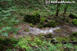[P06] traseul este marcat cu cruce albastra iar poteca merge pe lângă firul apei » foto by osna
 - 
<span class="allrVoted glyphicon glyphicon-heart hidden" id="av562864"></span>
<a class="m-l-10 hidden" id="sv562864" onclick="voting_Foto_DelVot(,562864,3939)" role="button">șterge vot <span class="glyphicon glyphicon-remove"></span></a>
<a id="v9562864" class=" c-red"  onclick="voting_Foto_SetVot(562864)" role="button"><span class="glyphicon glyphicon-heart-empty"></span> <b>LIKE</b> = Votează poza</a> <img class="hidden"  id="f562864W9" src="/imagini/loader.gif" border="0" /><span class="AjErrMes hidden" id="e562864ErM"></span>