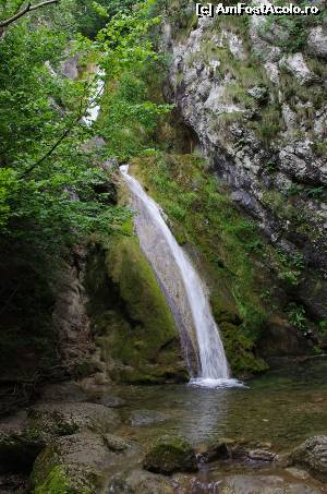 [P07] Cascada Susara, cu o cadere de vreo 15m de apa, formata din 2 trepte » foto by osna
 - 
<span class="allrVoted glyphicon glyphicon-heart hidden" id="av562865"></span>
<a class="m-l-10 hidden" id="sv562865" onclick="voting_Foto_DelVot(,562865,3939)" role="button">șterge vot <span class="glyphicon glyphicon-remove"></span></a>
<a id="v9562865" class=" c-red"  onclick="voting_Foto_SetVot(562865)" role="button"><span class="glyphicon glyphicon-heart-empty"></span> <b>LIKE</b> = Votează poza</a> <img class="hidden"  id="f562865W9" src="/imagini/loader.gif" border="0" /><span class="AjErrMes hidden" id="e562865ErM"></span>