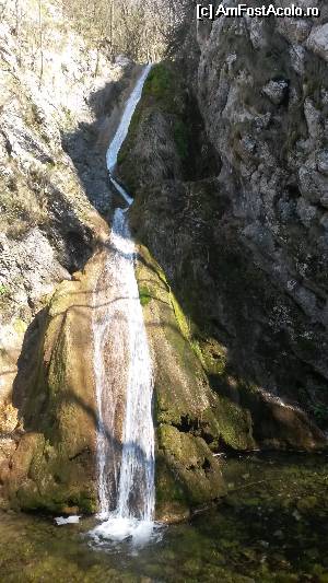 [P02] Cascada Susara » foto by zorinabarna
 - 
<span class="allrVoted glyphicon glyphicon-heart hidden" id="av532944"></span>
<a class="m-l-10 hidden" id="sv532944" onclick="voting_Foto_DelVot(,532944,3939)" role="button">șterge vot <span class="glyphicon glyphicon-remove"></span></a>
<a id="v9532944" class=" c-red"  onclick="voting_Foto_SetVot(532944)" role="button"><span class="glyphicon glyphicon-heart-empty"></span> <b>LIKE</b> = Votează poza</a> <img class="hidden"  id="f532944W9" src="/imagini/loader.gif" border="0" /><span class="AjErrMes hidden" id="e532944ErM"></span>
