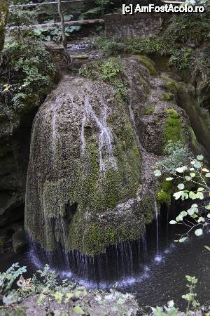[P01] Primul popas -Cascada Bigar » foto by Gabi Georgeta
 - 
<span class="allrVoted glyphicon glyphicon-heart hidden" id="av505555"></span>
<a class="m-l-10 hidden" id="sv505555" onclick="voting_Foto_DelVot(,505555,3939)" role="button">șterge vot <span class="glyphicon glyphicon-remove"></span></a>
<a id="v9505555" class=" c-red"  onclick="voting_Foto_SetVot(505555)" role="button"><span class="glyphicon glyphicon-heart-empty"></span> <b>LIKE</b> = Votează poza</a> <img class="hidden"  id="f505555W9" src="/imagini/loader.gif" border="0" /><span class="AjErrMes hidden" id="e505555ErM"></span>