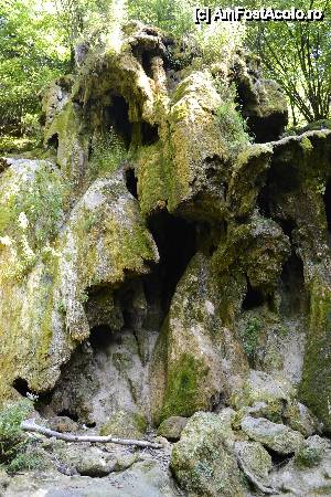 [P06] Cascada Beusnita, dar din pacate fara apa, noroc cu un izvor subteran dintr-o parte a ei, altfel chiar nu am fi vazut niciun strop.  » foto by Gabi Georgeta
 - 
<span class="allrVoted glyphicon glyphicon-heart hidden" id="av505560"></span>
<a class="m-l-10 hidden" id="sv505560" onclick="voting_Foto_DelVot(,505560,3939)" role="button">șterge vot <span class="glyphicon glyphicon-remove"></span></a>
<a id="v9505560" class=" c-red"  onclick="voting_Foto_SetVot(505560)" role="button"><span class="glyphicon glyphicon-heart-empty"></span> <b>LIKE</b> = Votează poza</a> <img class="hidden"  id="f505560W9" src="/imagini/loader.gif" border="0" /><span class="AjErrMes hidden" id="e505560ErM"></span>