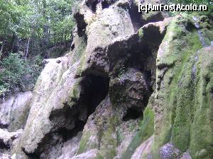 [P24] La Cascada Beușnița » foto by costy69*
 - 
<span class="allrVoted glyphicon glyphicon-heart hidden" id="av578462"></span>
<a class="m-l-10 hidden" id="sv578462" onclick="voting_Foto_DelVot(,578462,3939)" role="button">șterge vot <span class="glyphicon glyphicon-remove"></span></a>
<a id="v9578462" class=" c-red"  onclick="voting_Foto_SetVot(578462)" role="button"><span class="glyphicon glyphicon-heart-empty"></span> <b>LIKE</b> = Votează poza</a> <img class="hidden"  id="f578462W9" src="/imagini/loader.gif" border="0" /><span class="AjErrMes hidden" id="e578462ErM"></span>