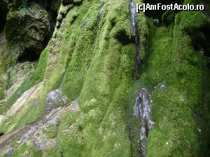 [P06] La Cascada Beușnița. Se pot observa doar firicele de apă.  » foto by costy69*
 - 
<span class="allrVoted glyphicon glyphicon-heart hidden" id="av578429"></span>
<a class="m-l-10 hidden" id="sv578429" onclick="voting_Foto_DelVot(,578429,3939)" role="button">șterge vot <span class="glyphicon glyphicon-remove"></span></a>
<a id="v9578429" class=" c-red"  onclick="voting_Foto_SetVot(578429)" role="button"><span class="glyphicon glyphicon-heart-empty"></span> <b>LIKE</b> = Votează poza</a> <img class="hidden"  id="f578429W9" src="/imagini/loader.gif" border="0" /><span class="AjErrMes hidden" id="e578429ErM"></span>