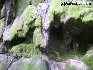 [P07] La Cascada Beușnița. Foarte puțină apă.  » foto by costy69*
 - 
<span class="allrVoted glyphicon glyphicon-heart hidden" id="av578430"></span>
<a class="m-l-10 hidden" id="sv578430" onclick="voting_Foto_DelVot(,578430,3939)" role="button">șterge vot <span class="glyphicon glyphicon-remove"></span></a>
<a id="v9578430" class=" c-red"  onclick="voting_Foto_SetVot(578430)" role="button"><span class="glyphicon glyphicon-heart-empty"></span> <b>LIKE</b> = Votează poza</a> <img class="hidden"  id="f578430W9" src="/imagini/loader.gif" border="0" /><span class="AjErrMes hidden" id="e578430ErM"></span>