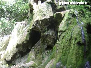 [P09] Cascada Beușnița, alt unghi.  » foto by costy69*
 - 
<span class="allrVoted glyphicon glyphicon-heart hidden" id="av578432"></span>
<a class="m-l-10 hidden" id="sv578432" onclick="voting_Foto_DelVot(,578432,3939)" role="button">șterge vot <span class="glyphicon glyphicon-remove"></span></a>
<a id="v9578432" class=" c-red"  onclick="voting_Foto_SetVot(578432)" role="button"><span class="glyphicon glyphicon-heart-empty"></span> <b>LIKE</b> = Votează poza</a> <img class="hidden"  id="f578432W9" src="/imagini/loader.gif" border="0" /><span class="AjErrMes hidden" id="e578432ErM"></span>