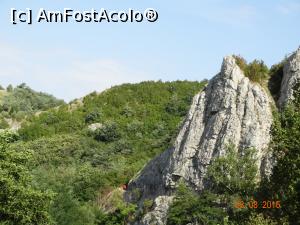[P16] Prin Cheile Nerei in zona La Tunele. Tot timpul gaseam ceva ce trebuia musai pozat :))  » foto by vega06
 - 
<span class="allrVoted glyphicon glyphicon-heart hidden" id="av731622"></span>
<a class="m-l-10 hidden" id="sv731622" onclick="voting_Foto_DelVot(,731622,3939)" role="button">șterge vot <span class="glyphicon glyphicon-remove"></span></a>
<a id="v9731622" class=" c-red"  onclick="voting_Foto_SetVot(731622)" role="button"><span class="glyphicon glyphicon-heart-empty"></span> <b>LIKE</b> = Votează poza</a> <img class="hidden"  id="f731622W9" src="/imagini/loader.gif" border="0" /><span class="AjErrMes hidden" id="e731622ErM"></span>