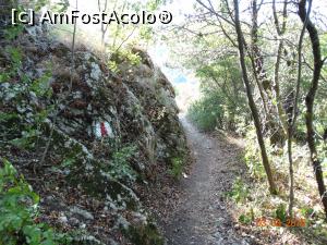 [P36] Si poteca noastra.  » foto by vega06
 - 
<span class="allrVoted glyphicon glyphicon-heart hidden" id="av731662"></span>
<a class="m-l-10 hidden" id="sv731662" onclick="voting_Foto_DelVot(,731662,3939)" role="button">șterge vot <span class="glyphicon glyphicon-remove"></span></a>
<a id="v9731662" class=" c-red"  onclick="voting_Foto_SetVot(731662)" role="button"><span class="glyphicon glyphicon-heart-empty"></span> <b>LIKE</b> = Votează poza</a> <img class="hidden"  id="f731662W9" src="/imagini/loader.gif" border="0" /><span class="AjErrMes hidden" id="e731662ErM"></span>