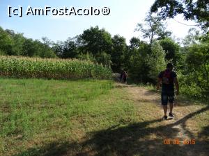 [P42] Ne indreptam spre casa si dam si de ceva culturi agricole.  » foto by vega06
 - 
<span class="allrVoted glyphicon glyphicon-heart hidden" id="av731669"></span>
<a class="m-l-10 hidden" id="sv731669" onclick="voting_Foto_DelVot(,731669,3939)" role="button">șterge vot <span class="glyphicon glyphicon-remove"></span></a>
<a id="v9731669" class=" c-red"  onclick="voting_Foto_SetVot(731669)" role="button"><span class="glyphicon glyphicon-heart-empty"></span> <b>LIKE</b> = Votează poza</a> <img class="hidden"  id="f731669W9" src="/imagini/loader.gif" border="0" /><span class="AjErrMes hidden" id="e731669ErM"></span>