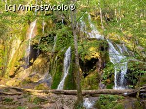 [P15] Cascada Beușnița » foto by Mika
 - 
<span class="allrVoted glyphicon glyphicon-heart hidden" id="av1404274"></span>
<a class="m-l-10 hidden" id="sv1404274" onclick="voting_Foto_DelVot(,1404274,3939)" role="button">șterge vot <span class="glyphicon glyphicon-remove"></span></a>
<a id="v91404274" class=" c-red"  onclick="voting_Foto_SetVot(1404274)" role="button"><span class="glyphicon glyphicon-heart-empty"></span> <b>LIKE</b> = Votează poza</a> <img class="hidden"  id="f1404274W9" src="/imagini/loader.gif" border="0" /><span class="AjErrMes hidden" id="e1404274ErM"></span>