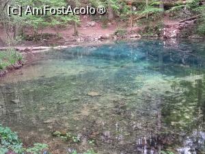 [P07] Lacul Ochiul Beu » foto by Mika
 - 
<span class="allrVoted glyphicon glyphicon-heart hidden" id="av1404266"></span>
<a class="m-l-10 hidden" id="sv1404266" onclick="voting_Foto_DelVot(,1404266,3939)" role="button">șterge vot <span class="glyphicon glyphicon-remove"></span></a>
<a id="v91404266" class=" c-red"  onclick="voting_Foto_SetVot(1404266)" role="button"><span class="glyphicon glyphicon-heart-empty"></span> <b>LIKE</b> = Votează poza</a> <img class="hidden"  id="f1404266W9" src="/imagini/loader.gif" border="0" /><span class="AjErrMes hidden" id="e1404266ErM"></span>