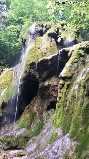 [P07] cascada Beusnita » foto by paulcta
 - 
<span class="allrVoted glyphicon glyphicon-heart hidden" id="av626081"></span>
<a class="m-l-10 hidden" id="sv626081" onclick="voting_Foto_DelVot(,626081,3939)" role="button">șterge vot <span class="glyphicon glyphicon-remove"></span></a>
<a id="v9626081" class=" c-red"  onclick="voting_Foto_SetVot(626081)" role="button"><span class="glyphicon glyphicon-heart-empty"></span> <b>LIKE</b> = Votează poza</a> <img class="hidden"  id="f626081W9" src="/imagini/loader.gif" border="0" /><span class="AjErrMes hidden" id="e626081ErM"></span>