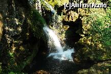 [P07] Cascada 'La văioaga' » foto by gregorio
 - 
<span class="allrVoted glyphicon glyphicon-heart hidden" id="av126388"></span>
<a class="m-l-10 hidden" id="sv126388" onclick="voting_Foto_DelVot(,126388,3939)" role="button">șterge vot <span class="glyphicon glyphicon-remove"></span></a>
<a id="v9126388" class=" c-red"  onclick="voting_Foto_SetVot(126388)" role="button"><span class="glyphicon glyphicon-heart-empty"></span> <b>LIKE</b> = Votează poza</a> <img class="hidden"  id="f126388W9" src="/imagini/loader.gif" border="0" /><span class="AjErrMes hidden" id="e126388ErM"></span>