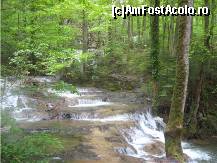 [P21] praguri de cascade » foto by dorgo
 - 
<span class="allrVoted glyphicon glyphicon-heart hidden" id="av90635"></span>
<a class="m-l-10 hidden" id="sv90635" onclick="voting_Foto_DelVot(,90635,3939)" role="button">șterge vot <span class="glyphicon glyphicon-remove"></span></a>
<a id="v990635" class=" c-red"  onclick="voting_Foto_SetVot(90635)" role="button"><span class="glyphicon glyphicon-heart-empty"></span> <b>LIKE</b> = Votează poza</a> <img class="hidden"  id="f90635W9" src="/imagini/loader.gif" border="0" /><span class="AjErrMes hidden" id="e90635ErM"></span>