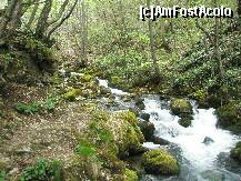 [P01] Inca din cantonul forestier Bozovici, avem o avanpremiera la cascadele Nerei, cascada in trepte Bigar » foto by dorgo
 - 
<span class="allrVoted glyphicon glyphicon-heart hidden" id="av162076"></span>
<a class="m-l-10 hidden" id="sv162076" onclick="voting_Foto_DelVot(,162076,3939)" role="button">șterge vot <span class="glyphicon glyphicon-remove"></span></a>
<a id="v9162076" class=" c-red"  onclick="voting_Foto_SetVot(162076)" role="button"><span class="glyphicon glyphicon-heart-empty"></span> <b>LIKE</b> = Votează poza</a> <img class="hidden"  id="f162076W9" src="/imagini/loader.gif" border="0" /><span class="AjErrMes hidden" id="e162076ErM"></span>