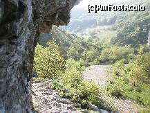 [P03] Traseul nr 1 - o carare suspendata strabate valea Nerei » foto by dorgo
 - 
<span class="allrVoted glyphicon glyphicon-heart hidden" id="av162080"></span>
<a class="m-l-10 hidden" id="sv162080" onclick="voting_Foto_DelVot(,162080,3939)" role="button">șterge vot <span class="glyphicon glyphicon-remove"></span></a>
<a id="v9162080" class=" c-red"  onclick="voting_Foto_SetVot(162080)" role="button"><span class="glyphicon glyphicon-heart-empty"></span> <b>LIKE</b> = Votează poza</a> <img class="hidden"  id="f162080W9" src="/imagini/loader.gif" border="0" /><span class="AjErrMes hidden" id="e162080ErM"></span>