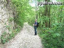 [P08] Iata drumul ce duce spre canton si cheile Nerei, se observa marcajul, in dreapta e valea Nerei, in stanga va apare in curand o padure foarte deasa si intunecoasa » foto by dorgo
 - 
<span class="allrVoted glyphicon glyphicon-heart hidden" id="av162088"></span>
<a class="m-l-10 hidden" id="sv162088" onclick="voting_Foto_DelVot(,162088,3939)" role="button">șterge vot <span class="glyphicon glyphicon-remove"></span></a>
<a id="v9162088" class=" c-red"  onclick="voting_Foto_SetVot(162088)" role="button"><span class="glyphicon glyphicon-heart-empty"></span> <b>LIKE</b> = Votează poza</a> <img class="hidden"  id="f162088W9" src="/imagini/loader.gif" border="0" /><span class="AjErrMes hidden" id="e162088ErM"></span>