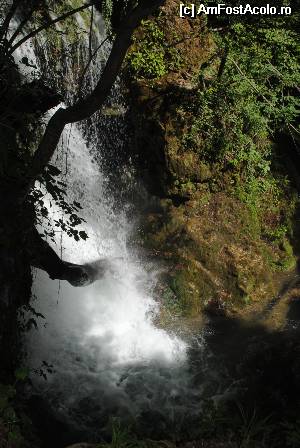 [P01] Cascada La Vaioaga » foto by raly
 - 
<span class="allrVoted glyphicon glyphicon-heart hidden" id="av532078"></span>
<a class="m-l-10 hidden" id="sv532078" onclick="voting_Foto_DelVot(,532078,3939)" role="button">șterge vot <span class="glyphicon glyphicon-remove"></span></a>
<a id="v9532078" class=" c-red"  onclick="voting_Foto_SetVot(532078)" role="button"><span class="glyphicon glyphicon-heart-empty"></span> <b>LIKE</b> = Votează poza</a> <img class="hidden"  id="f532078W9" src="/imagini/loader.gif" border="0" /><span class="AjErrMes hidden" id="e532078ErM"></span>