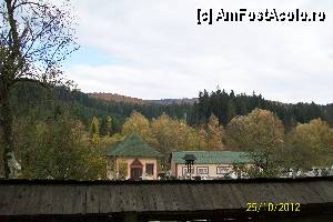 [P11]  -- <small>// FĂRĂ DESCRIERE</small> » foto by RossoNerro
 - 
<span class="allrVoted glyphicon glyphicon-heart hidden" id="av380886"></span>
<a class="m-l-10 hidden" id="sv380886" onclick="voting_Foto_DelVot(,380886,3950)" role="button">șterge vot <span class="glyphicon glyphicon-remove"></span></a>
<a id="v9380886" class=" c-red"  onclick="voting_Foto_SetVot(380886)" role="button"><span class="glyphicon glyphicon-heart-empty"></span> <b>LIKE</b> = Votează poza</a> <img class="hidden"  id="f380886W9" src="/imagini/loader.gif" border="0" /><span class="AjErrMes hidden" id="e380886ErM"></span>