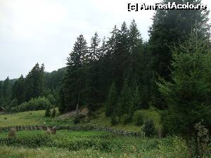 [P21] După ce am vizitat Mănăstirea Voroneț, am cutreierat și împrejurimile în căutarea unei posibilități de cazare.  » foto by Floryn81
 - 
<span class="allrVoted glyphicon glyphicon-heart hidden" id="av566942"></span>
<a class="m-l-10 hidden" id="sv566942" onclick="voting_Foto_DelVot(,566942,3950)" role="button">șterge vot <span class="glyphicon glyphicon-remove"></span></a>
<a id="v9566942" class=" c-red"  onclick="voting_Foto_SetVot(566942)" role="button"><span class="glyphicon glyphicon-heart-empty"></span> <b>LIKE</b> = Votează poza</a> <img class="hidden"  id="f566942W9" src="/imagini/loader.gif" border="0" /><span class="AjErrMes hidden" id="e566942ErM"></span>