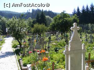 [P28] Un oci aruncat peste gardul cimitirului » foto by liviu49
 - 
<span class="allrVoted glyphicon glyphicon-heart hidden" id="av1243349"></span>
<a class="m-l-10 hidden" id="sv1243349" onclick="voting_Foto_DelVot(,1243349,3950)" role="button">șterge vot <span class="glyphicon glyphicon-remove"></span></a>
<a id="v91243349" class=" c-red"  onclick="voting_Foto_SetVot(1243349)" role="button"><span class="glyphicon glyphicon-heart-empty"></span> <b>LIKE</b> = Votează poza</a> <img class="hidden"  id="f1243349W9" src="/imagini/loader.gif" border="0" /><span class="AjErrMes hidden" id="e1243349ErM"></span>