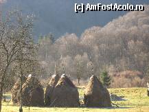 [P01] Poiana Marului » foto by georgiana
 - 
<span class="allrVoted glyphicon glyphicon-heart hidden" id="av29196"></span>
<a class="m-l-10 hidden" id="sv29196" onclick="voting_Foto_DelVot(,29196,3955)" role="button">șterge vot <span class="glyphicon glyphicon-remove"></span></a>
<a id="v929196" class=" c-red"  onclick="voting_Foto_SetVot(29196)" role="button"><span class="glyphicon glyphicon-heart-empty"></span> <b>LIKE</b> = Votează poza</a> <img class="hidden"  id="f29196W9" src="/imagini/loader.gif" border="0" /><span class="AjErrMes hidden" id="e29196ErM"></span>
