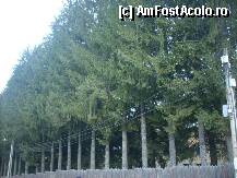 [P15] Aici exact a fost sanatoriu pentru tratarea afectiunilor pulmonare » foto by georgiana
 - 
<span class="allrVoted glyphicon glyphicon-heart hidden" id="av29210"></span>
<a class="m-l-10 hidden" id="sv29210" onclick="voting_Foto_DelVot(,29210,3955)" role="button">șterge vot <span class="glyphicon glyphicon-remove"></span></a>
<a id="v929210" class=" c-red"  onclick="voting_Foto_SetVot(29210)" role="button"><span class="glyphicon glyphicon-heart-empty"></span> <b>LIKE</b> = Votează poza</a> <img class="hidden"  id="f29210W9" src="/imagini/loader.gif" border="0" /><span class="AjErrMes hidden" id="e29210ErM"></span>