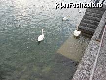 [P25] Luzern - Pe malul apei.  » foto by iulianic
 - 
<span class="allrVoted glyphicon glyphicon-heart hidden" id="av418366"></span>
<a class="m-l-10 hidden" id="sv418366" onclick="voting_Foto_DelVot(,418366,3962)" role="button">șterge vot <span class="glyphicon glyphicon-remove"></span></a>
<a id="v9418366" class=" c-red"  onclick="voting_Foto_SetVot(418366)" role="button"><span class="glyphicon glyphicon-heart-empty"></span> <b>LIKE</b> = Votează poza</a> <img class="hidden"  id="f418366W9" src="/imagini/loader.gif" border="0" /><span class="AjErrMes hidden" id="e418366ErM"></span>