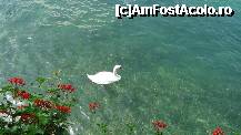 [P07]  -- <small>// FĂRĂ DESCRIERE</small> » foto by cristi.dobrin
 - 
<span class="allrVoted glyphicon glyphicon-heart hidden" id="av329426"></span>
<a class="m-l-10 hidden" id="sv329426" onclick="voting_Foto_DelVot(,329426,3962)" role="button">șterge vot <span class="glyphicon glyphicon-remove"></span></a>
<a id="v9329426" class=" c-red"  onclick="voting_Foto_SetVot(329426)" role="button"><span class="glyphicon glyphicon-heart-empty"></span> <b>LIKE</b> = Votează poza</a> <img class="hidden"  id="f329426W9" src="/imagini/loader.gif" border="0" /><span class="AjErrMes hidden" id="e329426ErM"></span>
